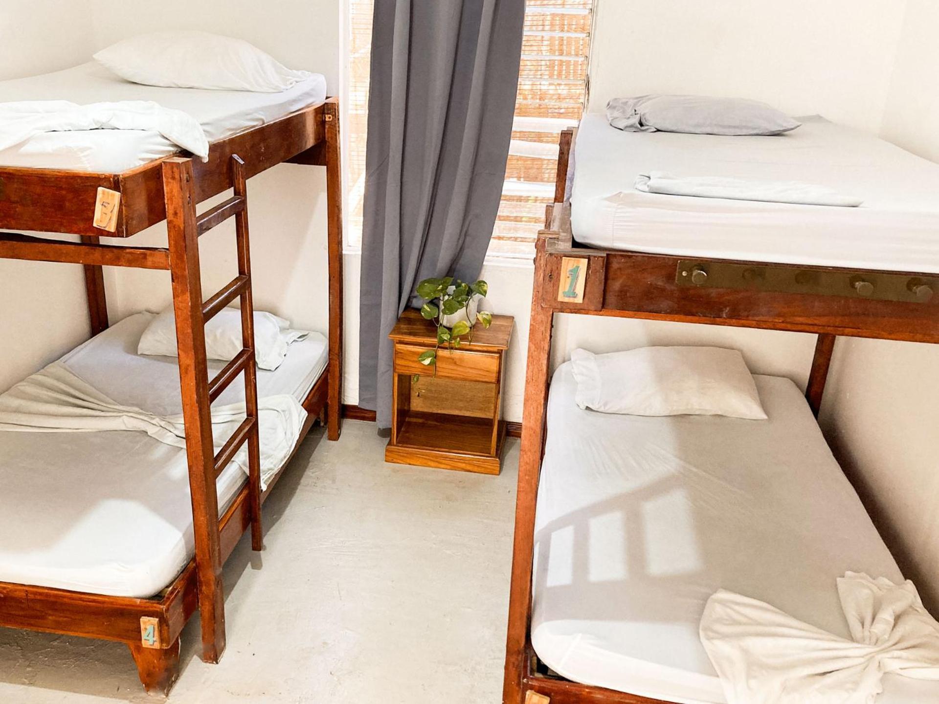 La Posada - Hostel Playa Santa Teresa  المظهر الخارجي الصورة